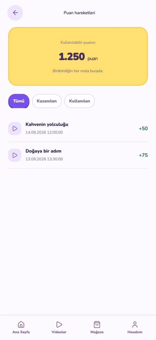 Puan bakiyesi ve kazanılan puan hareketleri
